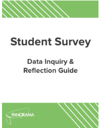 Student Survey Reflection Guide