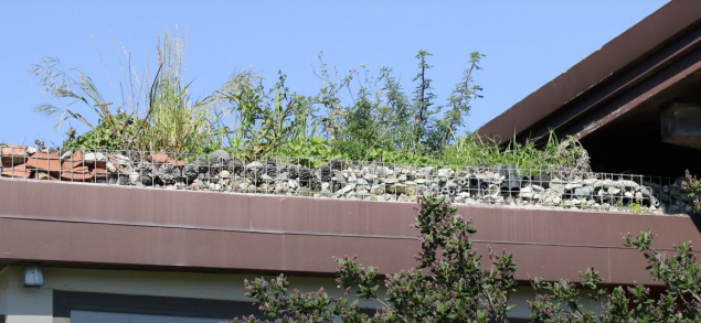 rooftop garden at Heron's Head eco-center