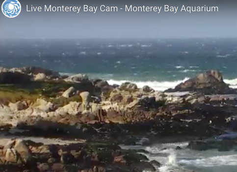 Monterey Bay