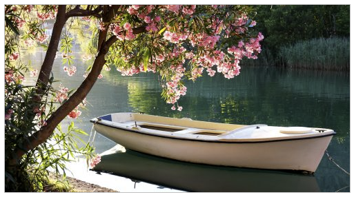 Image of row boat on water and a tree blooming