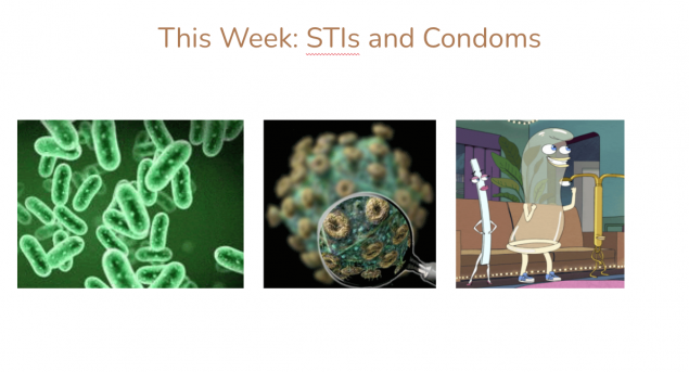Slide introducing topic of STIs and condoms