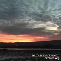 Explore.org web cams