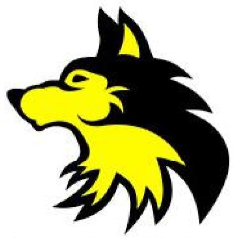The Academy SF wolf logo