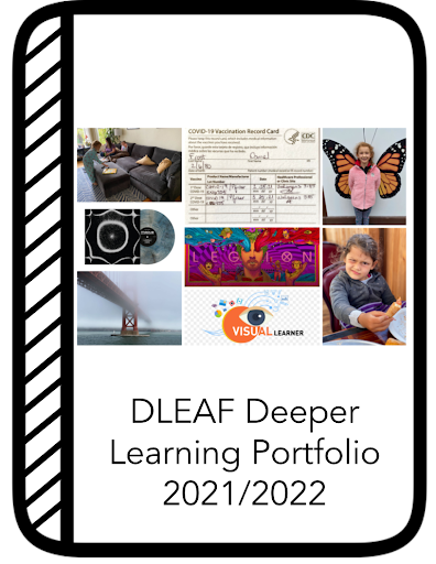 DLeaF Deeper Learning Portfolio